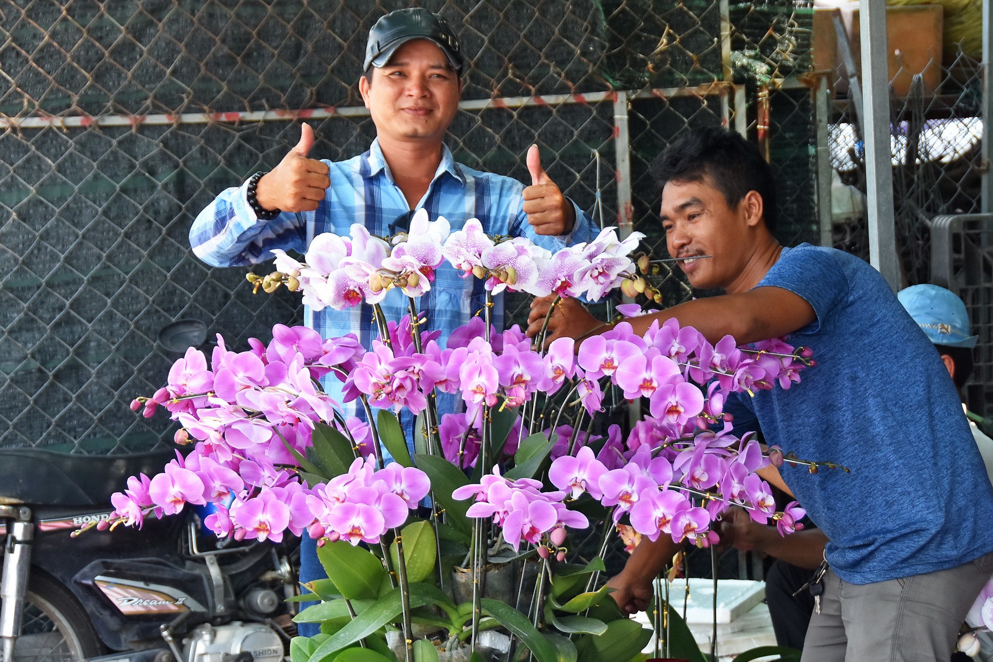Ngược dòng mang xuân về TP HCM - Ảnh 8.