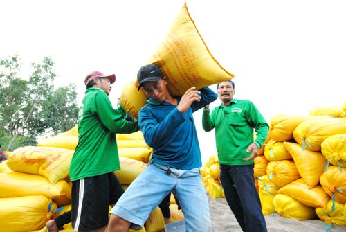Gỡ khó cho xuất khẩu gạo