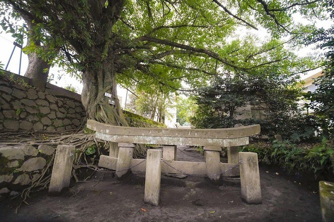 Kagoshima, v&ugrave;ng đất kỳ lạ với n&uacute;i lửa ngh&igrave;n năm - Ảnh 2.