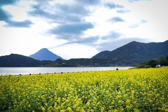 Kagoshima, v&ugrave;ng đất kỳ lạ với n&uacute;i lửa ngh&igrave;n năm - Ảnh 6.