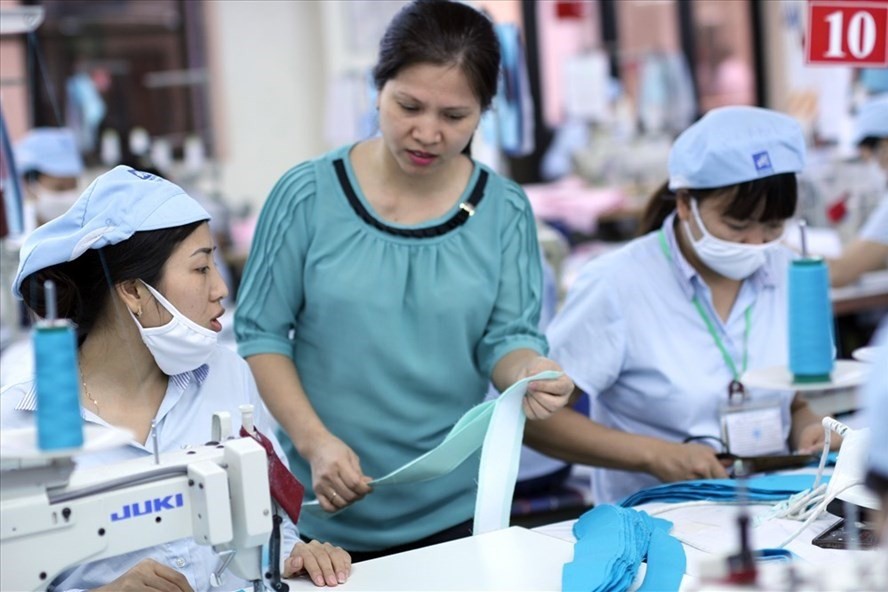 Thời gian thử việc c&oacute; được t&iacute;nh để nhận trợ cấp th&ocirc;i việc? - Ảnh 1.