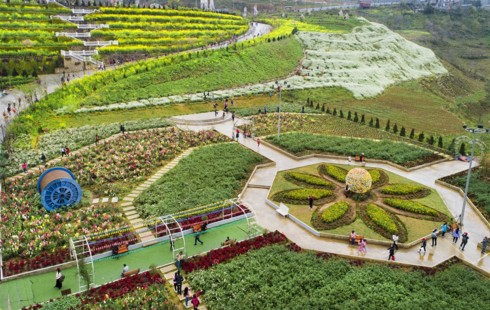 Lạc lối giữa rừng đào bung nở căng tràn nhựa sống ở Sa Pa - Ảnh 7.