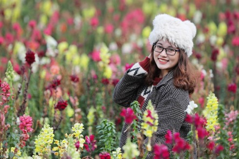 Lạc lối giữa rừng đào bung nở căng tràn nhựa sống ở Sa Pa - Ảnh 8.