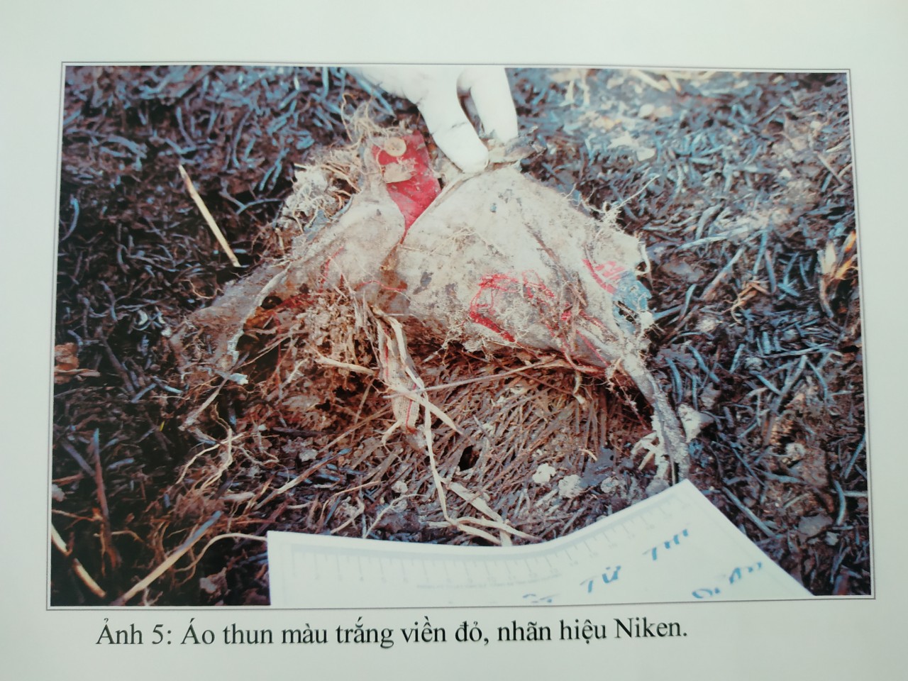 Tìm danh tính bộ xương người mặc áo thun nhãn hiệu Nike