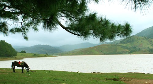 Sao lại can thiệp th&ocirc; bạo v&agrave;o Đankia - Su&ocirc;́i Vàng? - Ảnh 1.