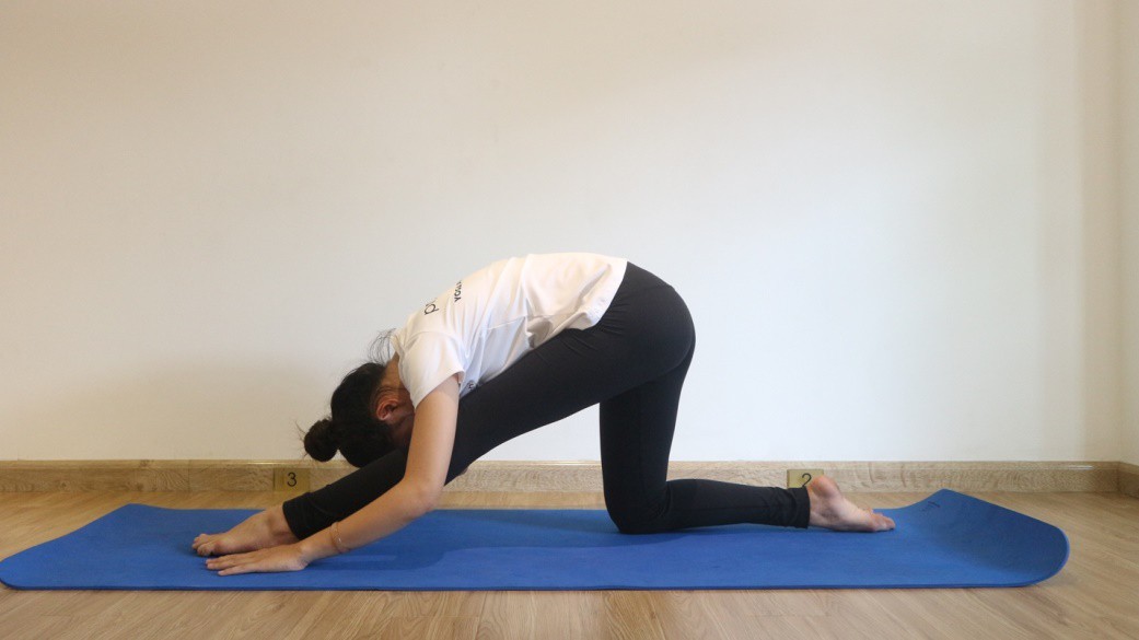Yoga cho người thiếu máu não - Ảnh 3.