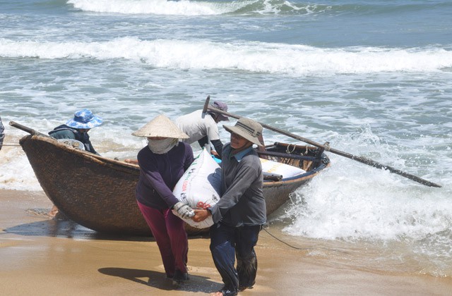 Quảng Ng&atilde;i: Ốc b&eacute; tẹo nhưng mang tiền triệu cho ngư d&acirc;n - Ảnh 3.