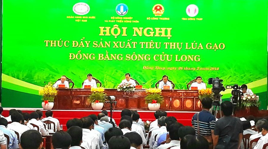 Tìm giải pháp "giải cứu" lúa gạo cho ĐBSCL