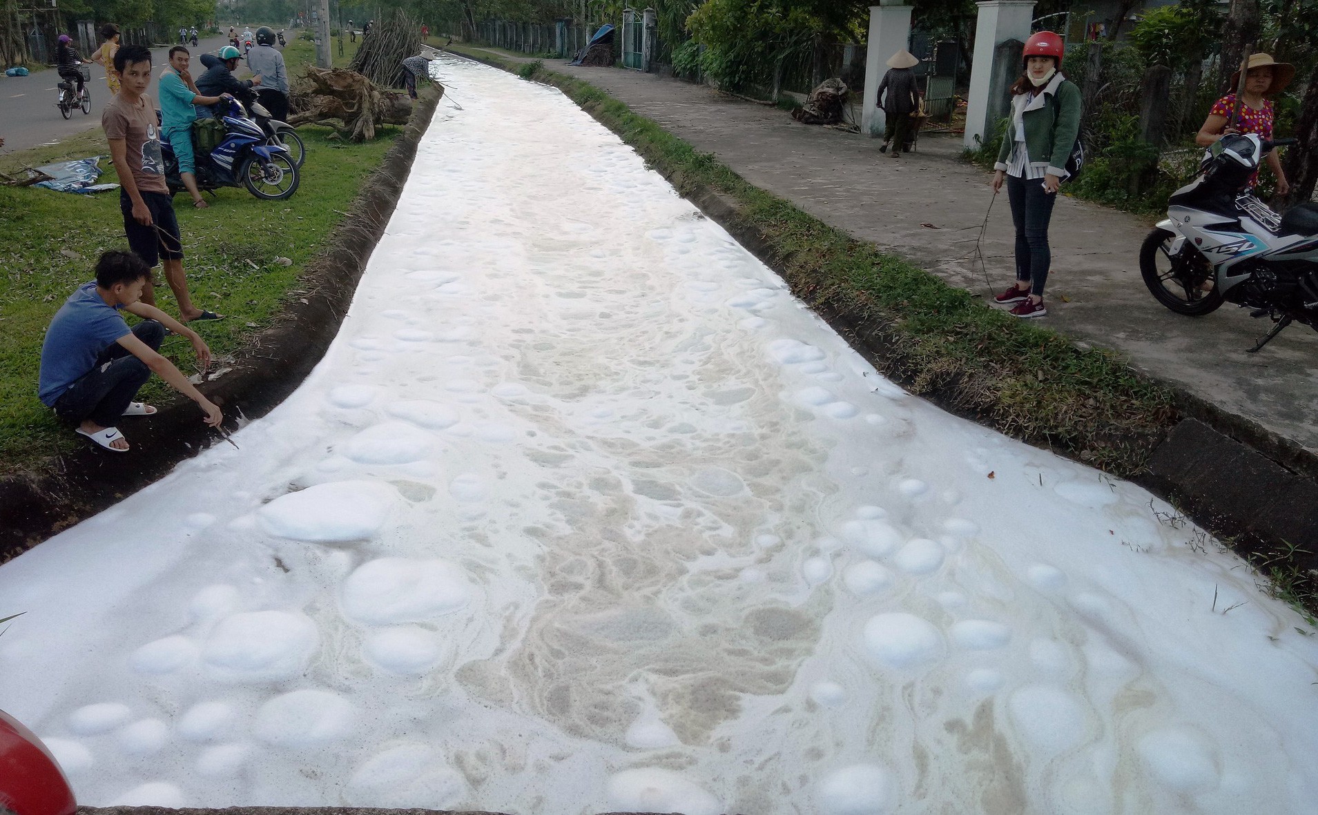 Bất ngờ bọt nổi trắng kênh, nước chảy đến đâu cá chết đến đó