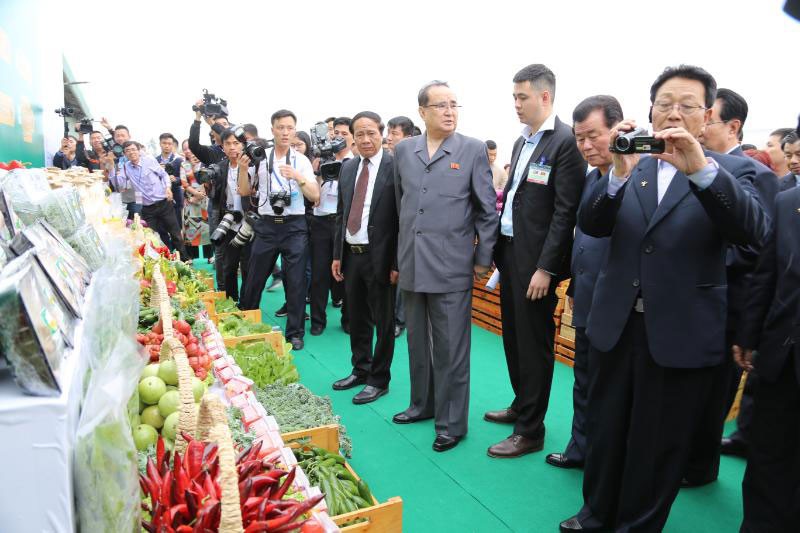 Việt Nam - Triều Tiên là quan hệ máu thịt