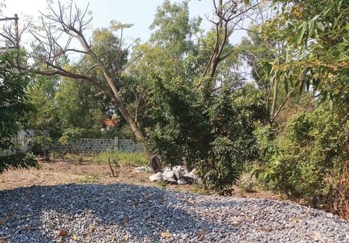 Ngang nhiên chiếm đất công