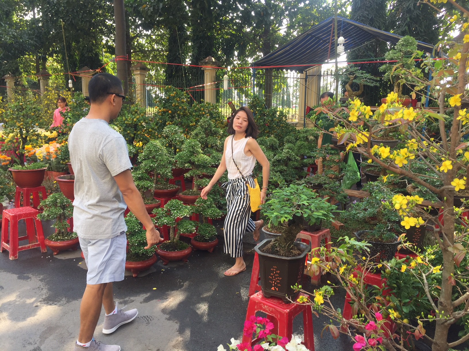 Hoa Tết bắt đầu giảm gi&aacute;, xả h&agrave;ng - Ảnh 6.