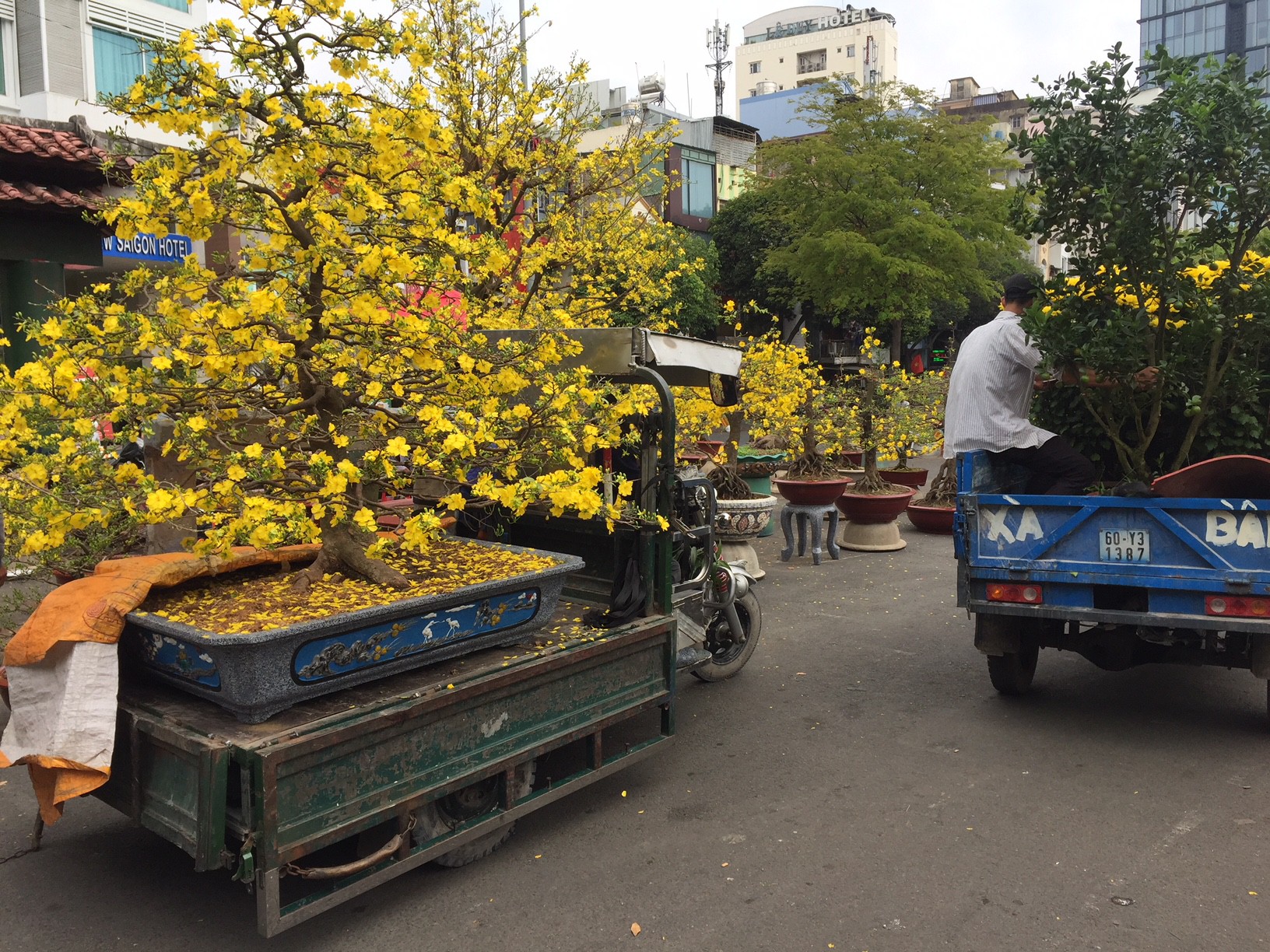 Hoa Tết bắt đầu giảm gi&aacute;, xả h&agrave;ng - Ảnh 3.