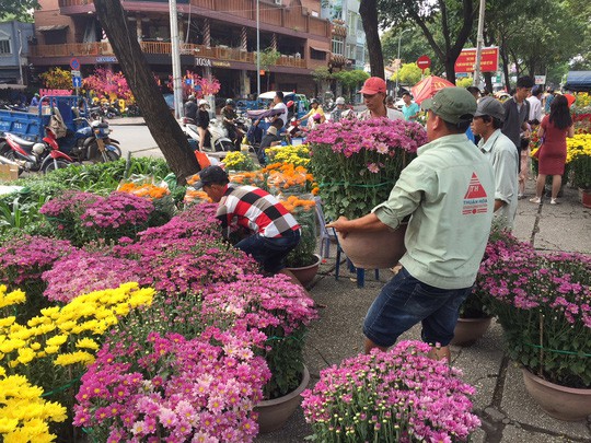 Hoa Tết bắt đầu giảm giá, xả hàng