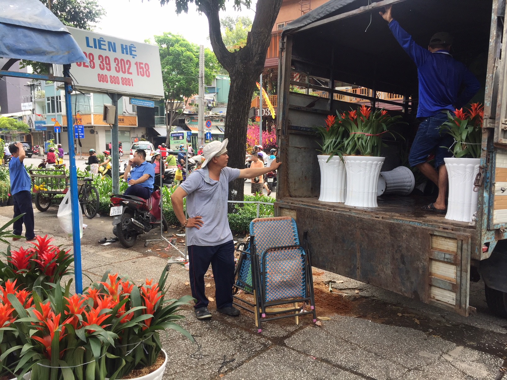 30 Tết, hoa kiểng rớt giá thê thảm nhưng ít bị đập bỏ - Ảnh 2.