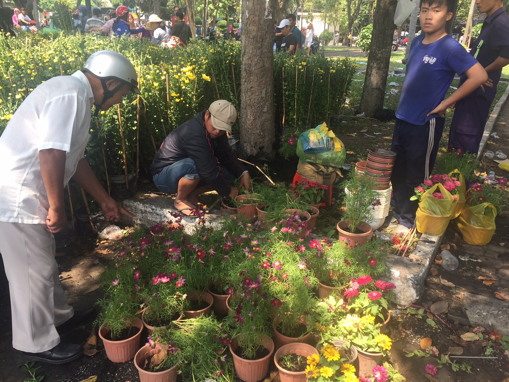 30 Tết, hoa kiểng rớt giá thê thảm nhưng ít bị đập bỏ - Ảnh 7.