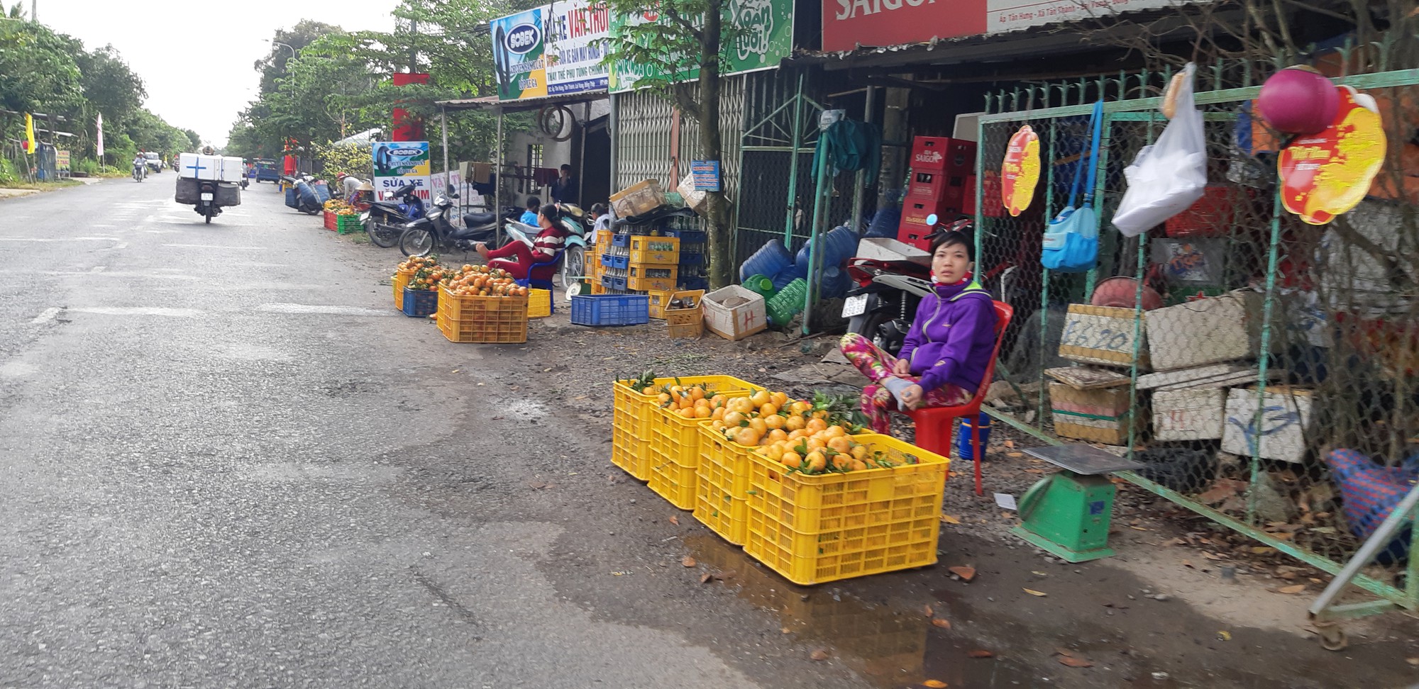 Vương quốc qu&yacute;t hồng Lai Vung &ldquo;hốt bạc&rdquo; nhờ b&aacute;n được gi&aacute; cao - Ảnh 1.