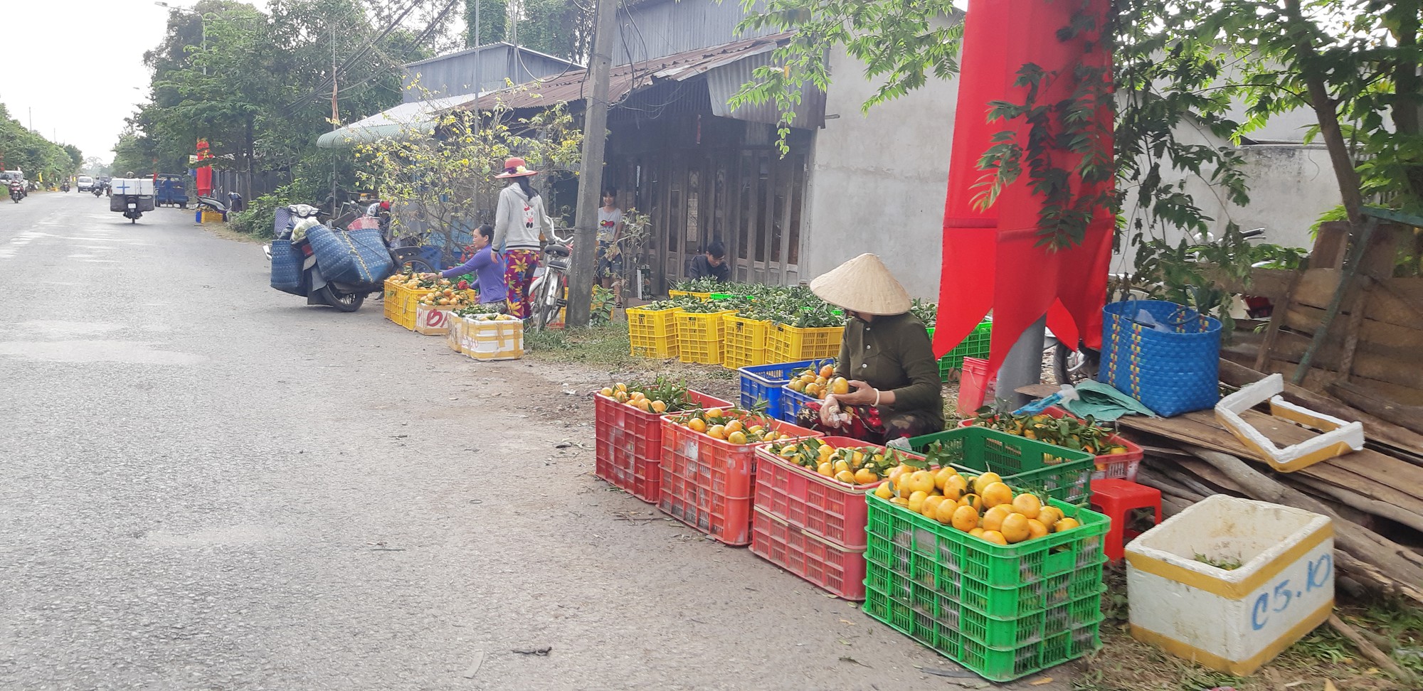 Vương quốc qu&yacute;t hồng Lai Vung &ldquo;hốt bạc&rdquo; nhờ b&aacute;n được gi&aacute; cao - Ảnh 2.