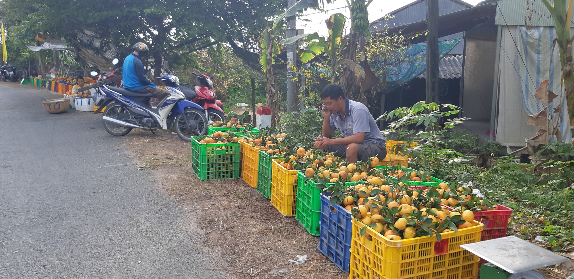 Vương quốc qu&yacute;t hồng Lai Vung &ldquo;hốt bạc&rdquo; nhờ b&aacute;n được gi&aacute; cao - Ảnh 3.