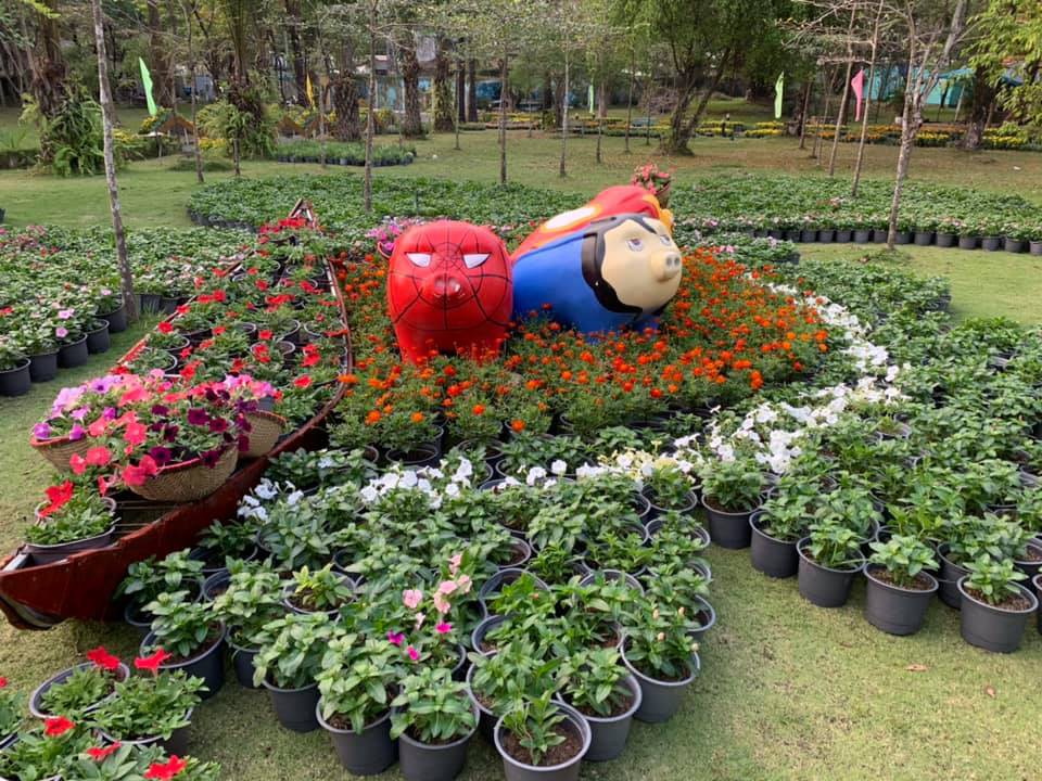 Hài hước chuyện giải cứu heo "siêu nhân" ở Biên Hòa