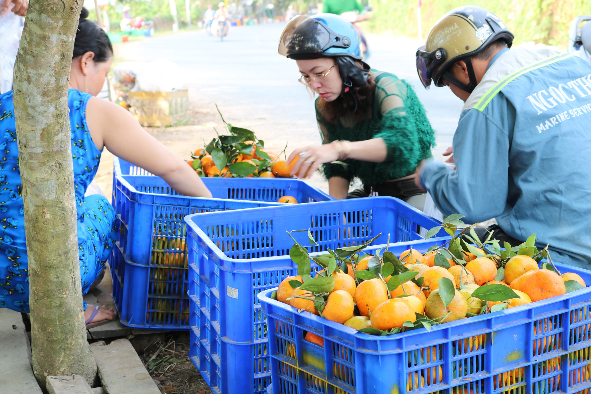 Vương quốc qu&yacute;t hồng Lai Vung &ldquo;hốt bạc&rdquo; nhờ b&aacute;n được gi&aacute; cao - Ảnh 8.