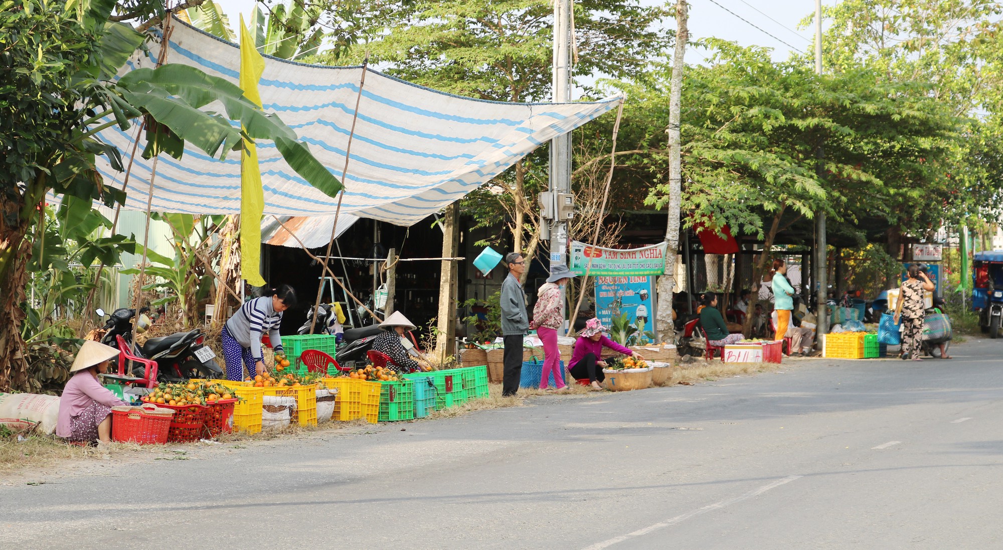 Vương quốc qu&yacute;t hồng Lai Vung &ldquo;hốt bạc&rdquo; nhờ b&aacute;n được gi&aacute; cao - Ảnh 4.