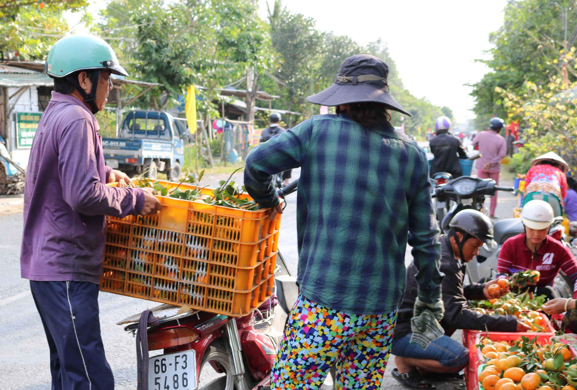 Vương quốc qu&yacute;t hồng Lai Vung &ldquo;hốt bạc&rdquo; nhờ b&aacute;n được gi&aacute; cao - Ảnh 11.