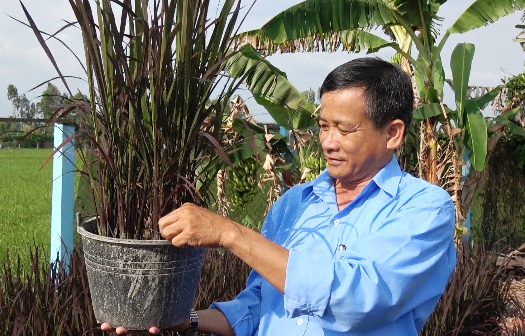 Gặp "Nhà khoa học của nhà nông" duy nhất ở ĐBSCL