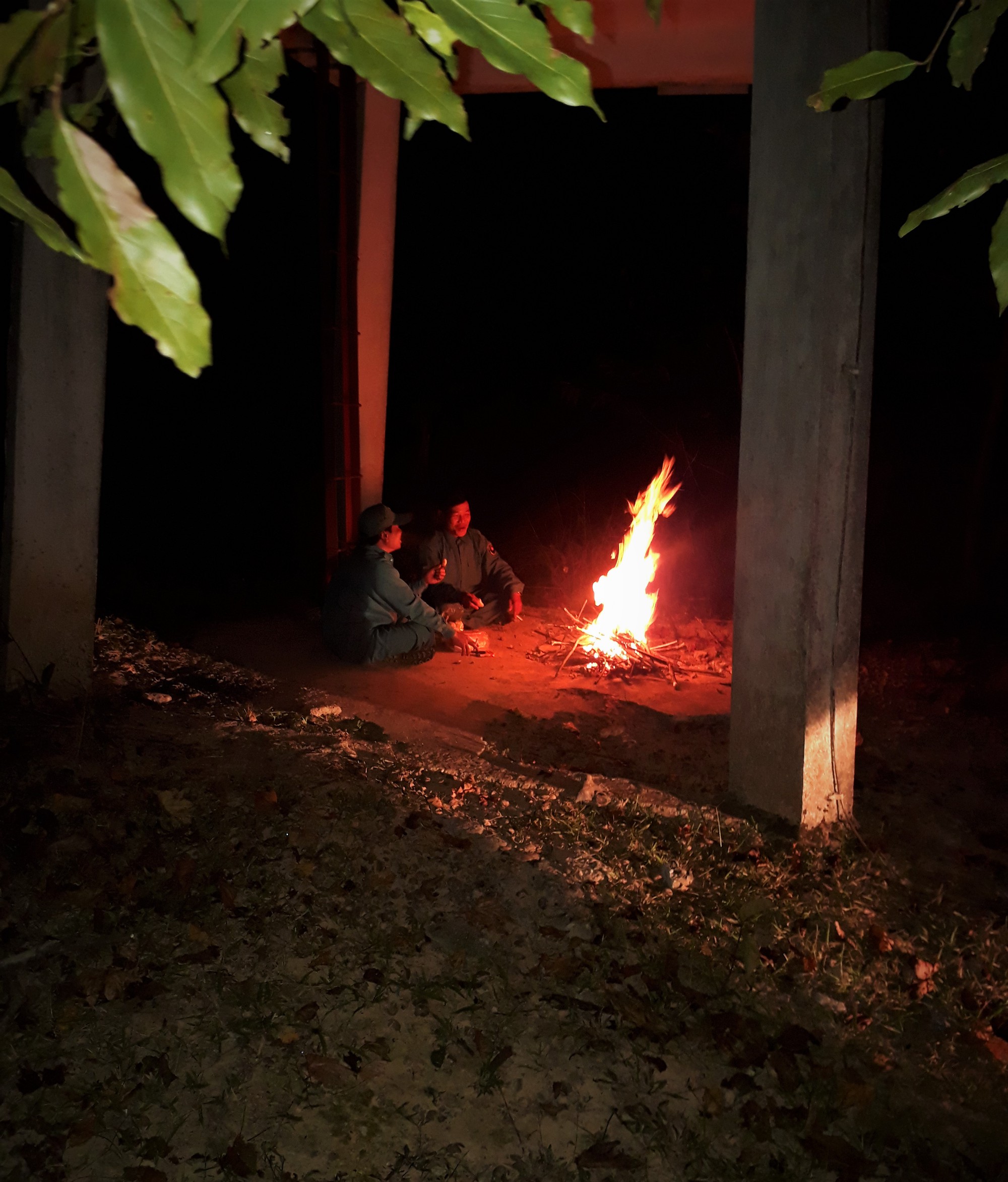 Ăn Tết ở trong rừng - Ảnh 2.