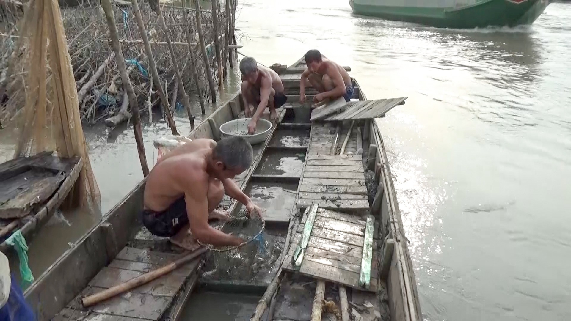 Về miền Tây xem đội quân dỡ chà bắt cá ăn Tết - Ảnh 13.