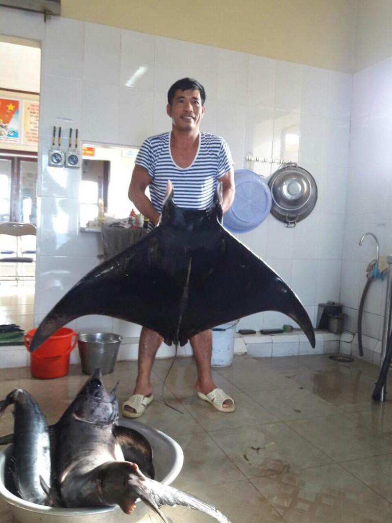 Lính nhà giàn trúng đậm cá “khủng” đầu năm - Ảnh 1.