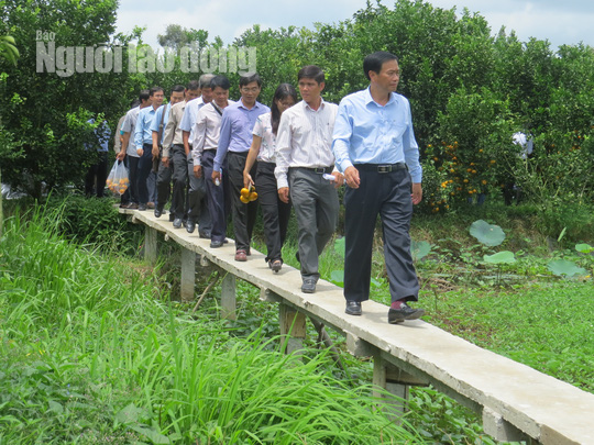 Xu&acirc;n về tr&ecirc;n c&aacute;c Hội qu&aacute;n n&ocirc;ng d&acirc;n ở Đồng Th&aacute;p - Ảnh 3.