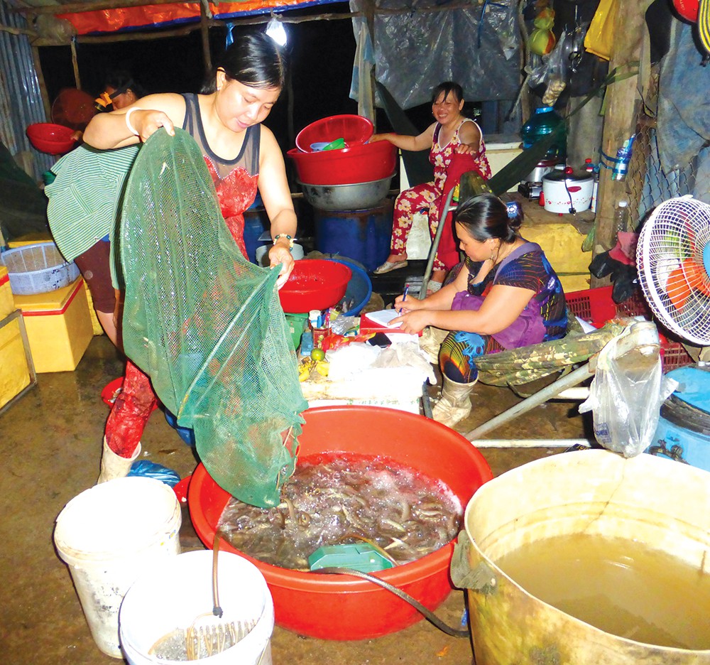 Mê mẩn ở chợ cá đồng lớn nhất miền Tây - Ảnh 2.