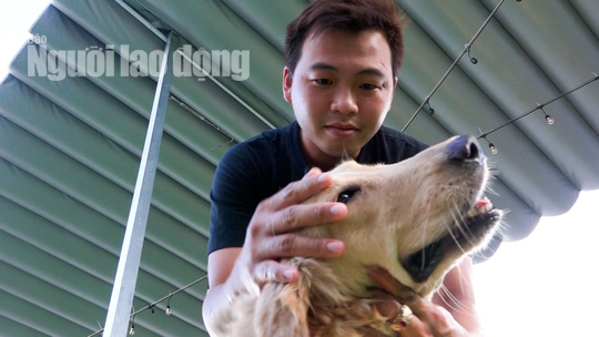 Độc đ&aacute;o khu phức hợp tiện nghi c&oacute; massage d&agrave;nh cho ch&oacute; cưng - Ảnh 1.