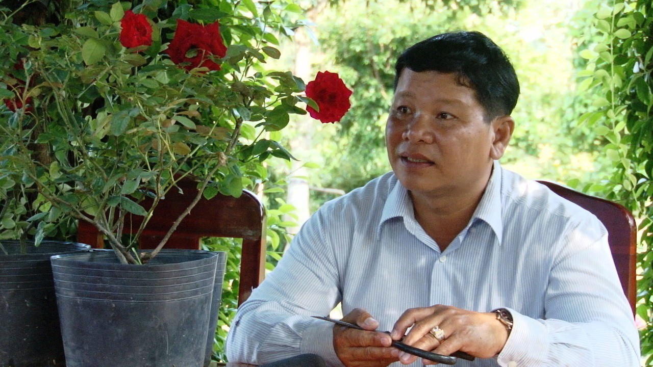 Du Xuân ngắm vườn hoa hồng lớn nhất miền Tây