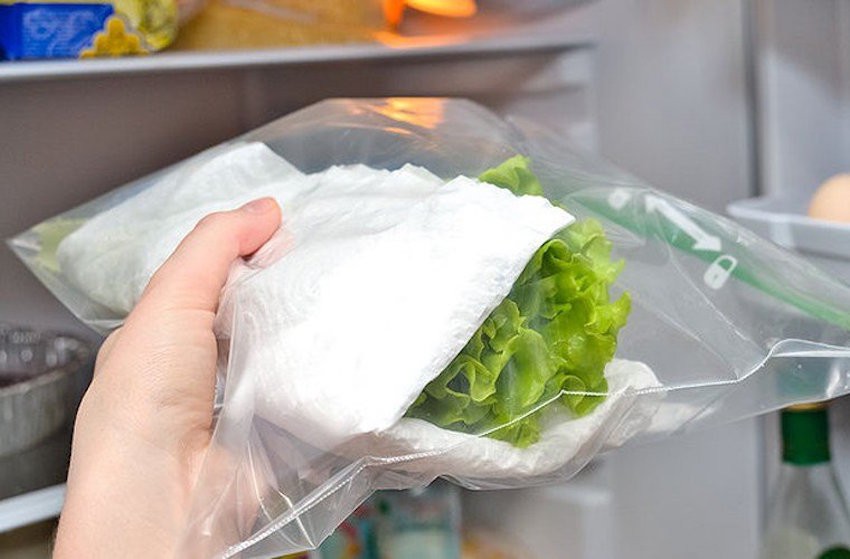 Không nên rửa rau, quả trước khi cho vào tủ lạnh?