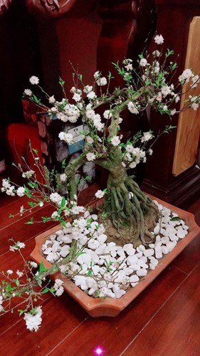 Sao Việt trang tr&iacute; nh&agrave; ng&agrave;y Tết như thế n&agrave;o? - Ảnh 6.