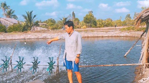 HẠN MẶN KHỐC LIỆT ÁM ẢNH MIỀN TÂY (*): Lo tôm chết, rừng cháy