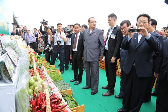 Doanh nghiệp Việt kể chuyện xuất khẩu nước giải kh&aacute;t, x&agrave; b&ocirc;ng sang Triều Ti&ecirc;n - Ảnh 1.