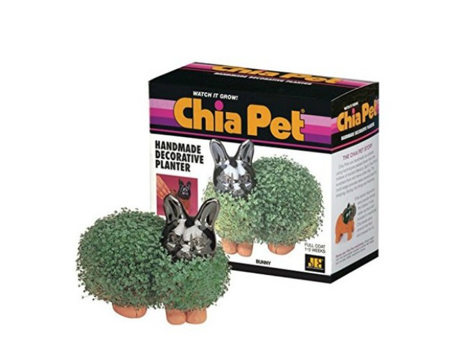 11 &yacute; tưởng kỳ quặc gi&uacute;p trở n&ecirc;n gi&agrave;u c&oacute; - Ảnh 10.