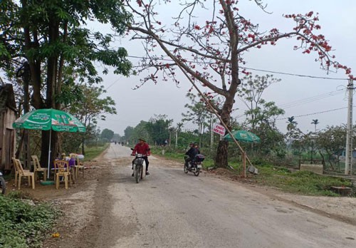 Chặn dịch tả heo Nam tiến