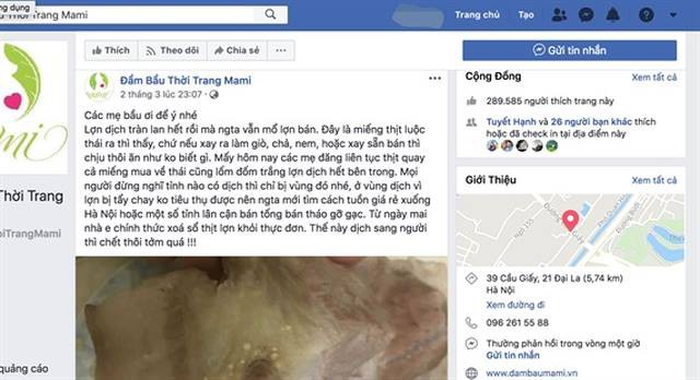 Chủ trang Facebook đăng tin thất thiệt về dịch tả lợn châu Phi có thể bị phạt 20 triệu đồng