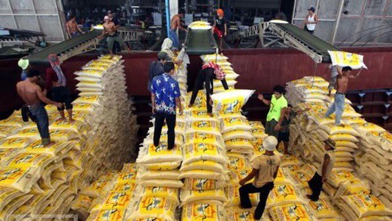 Lúa thơm Việt Nam sốt trên đất Thái