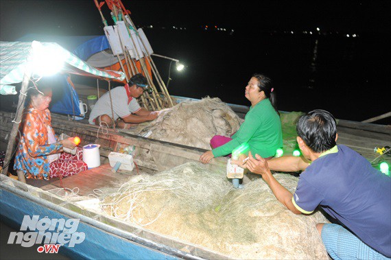 Sướng mắt theo ghe miền T&acirc;y săn t&ocirc;m c&agrave;ng, c&aacute; b&ocirc;ng lau - Ảnh 2.