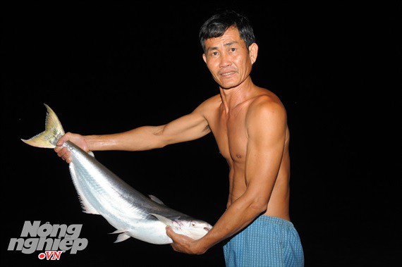 Sướng mắt theo ghe miền T&acirc;y săn t&ocirc;m c&agrave;ng, c&aacute; b&ocirc;ng lau - Ảnh 11.
