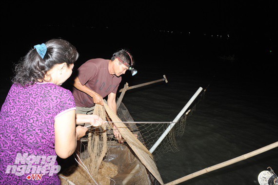 Sướng mắt theo ghe miền T&acirc;y săn t&ocirc;m c&agrave;ng, c&aacute; b&ocirc;ng lau - Ảnh 7.