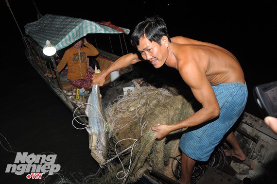 Sướng mắt theo ghe miền T&acirc;y săn t&ocirc;m c&agrave;ng, c&aacute; b&ocirc;ng lau - Ảnh 8.