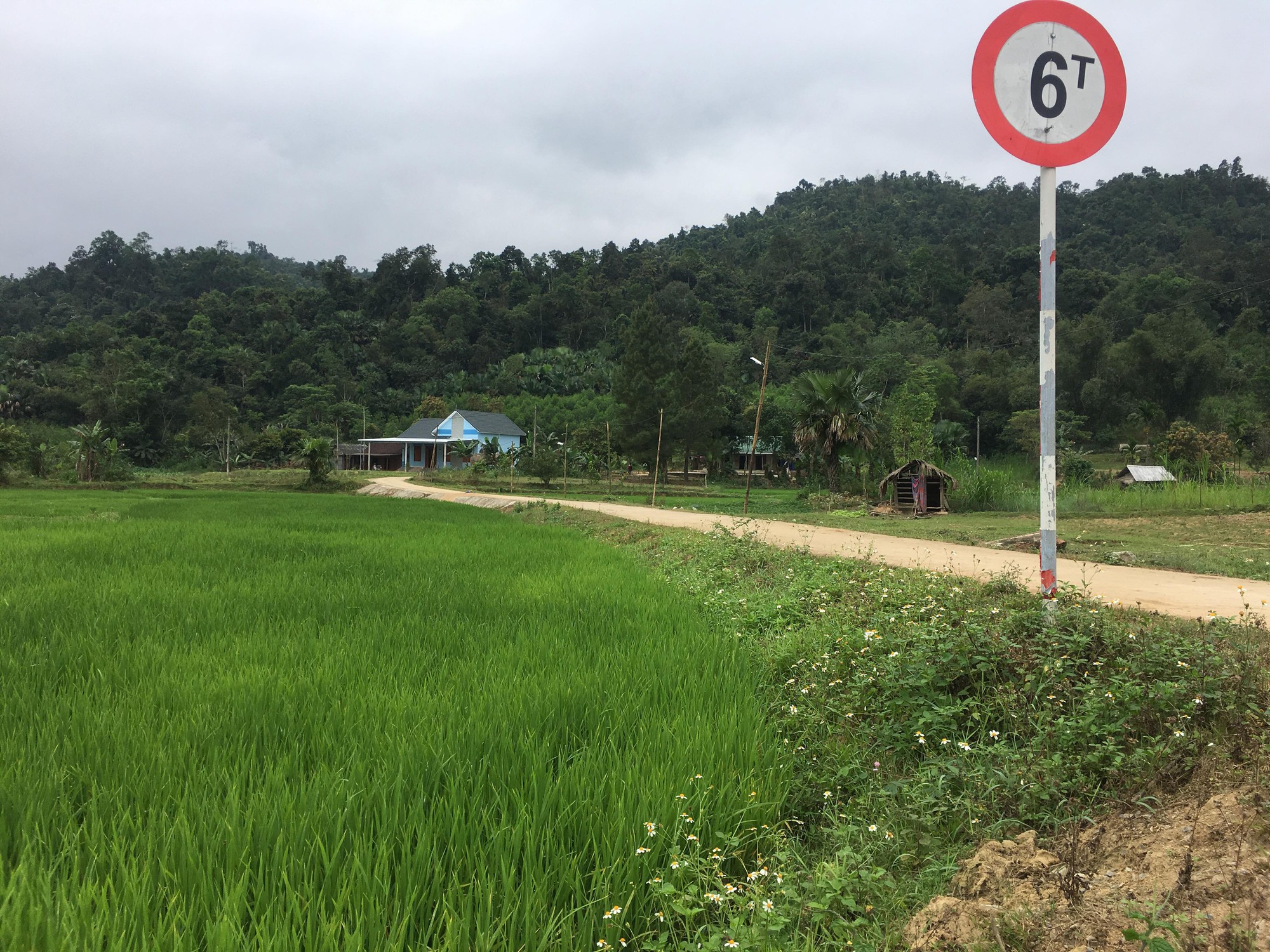 Chủ tịch x&atilde; d&ugrave;ng tiền ng&acirc;n s&aacute;ch mở đường ri&ecirc;ng&hellip; dẫn v&agrave;o nh&agrave; m&igrave;nh - Ảnh 2.