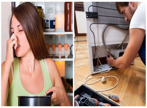 Tủ lạnh sẽ là "quả bom độc hại" nếu có dấu hiệu này mà bỏ qua