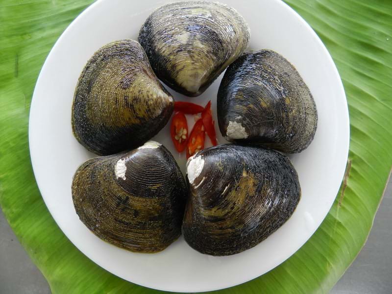 Mở miệng nỗi nhớ - vọp! Một thời kh&oacute; qu&ecirc;n! - Ảnh 1.